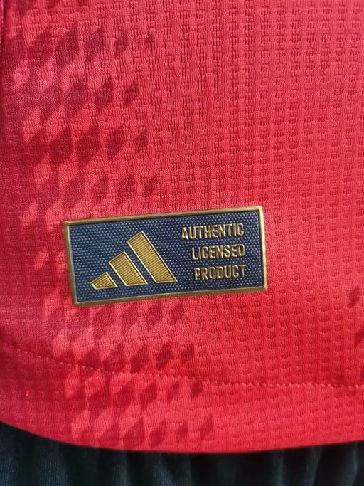 Bayern München 2024-2025 home player - Image 6