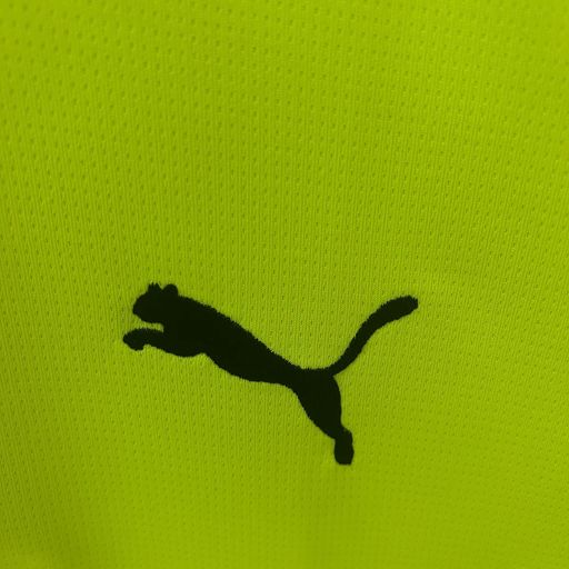 BVB Dortmund 2025-2026 special edition green - Image 8
