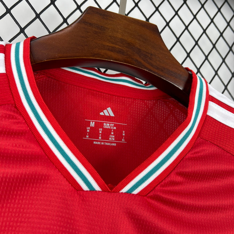 2026 World Cup Wales Soccer Jersey Home 1:1 Thai Quality - Image 6